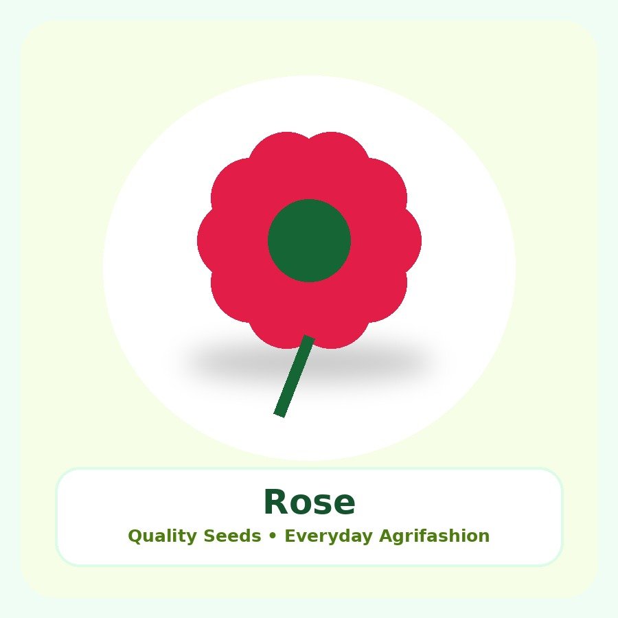 Rose Seeds 50 Seeds