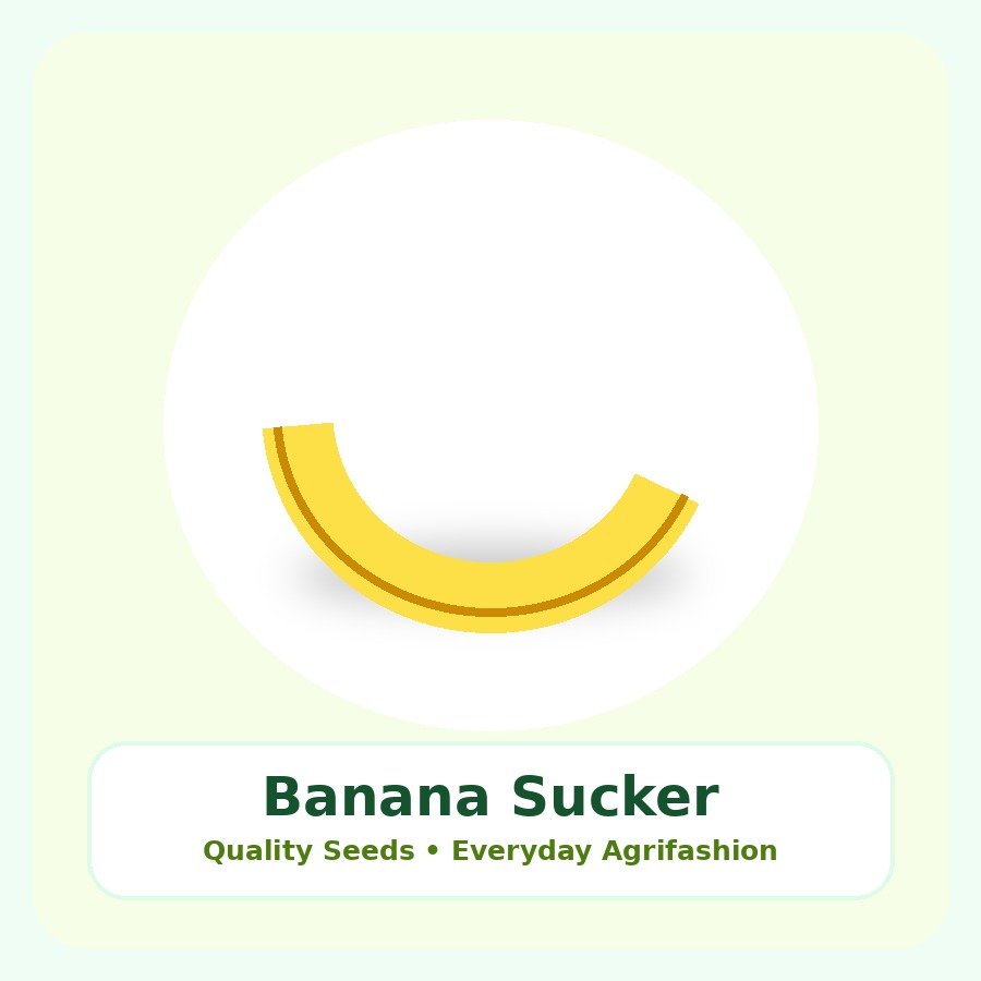 Banana Sucker Seeds 250 Seeds