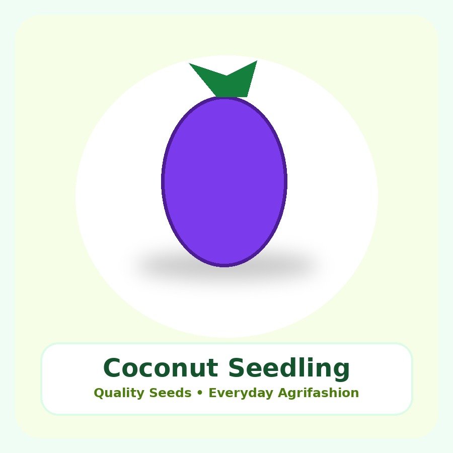 Coconut Seedling Seeds 250 Seeds