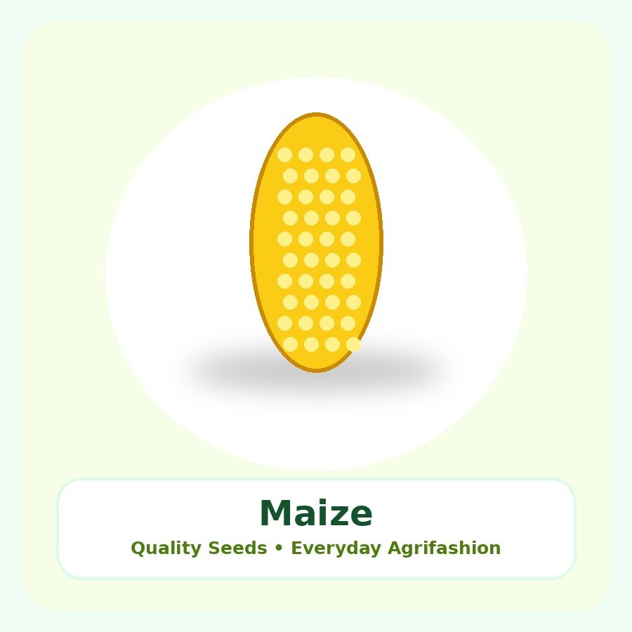 Maize Seeds 25kg