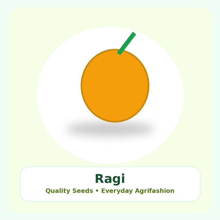 Ragi Seeds 500g