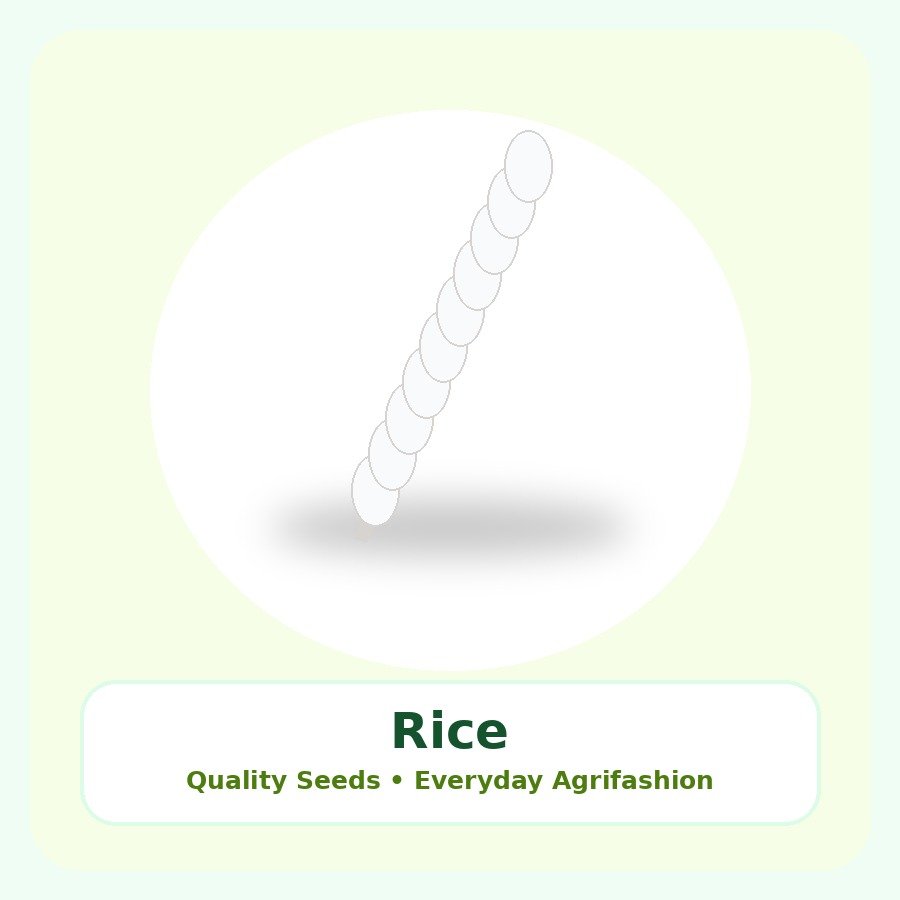 Rice Seeds 500g