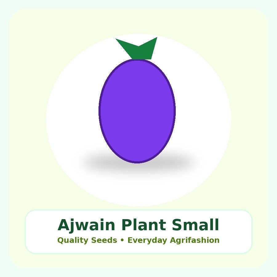 Ajwain Plant Small Nursery Bag