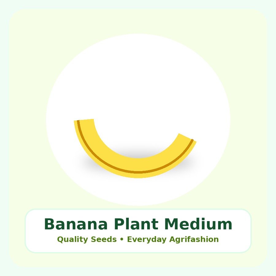 Banana Plant Medium Plant