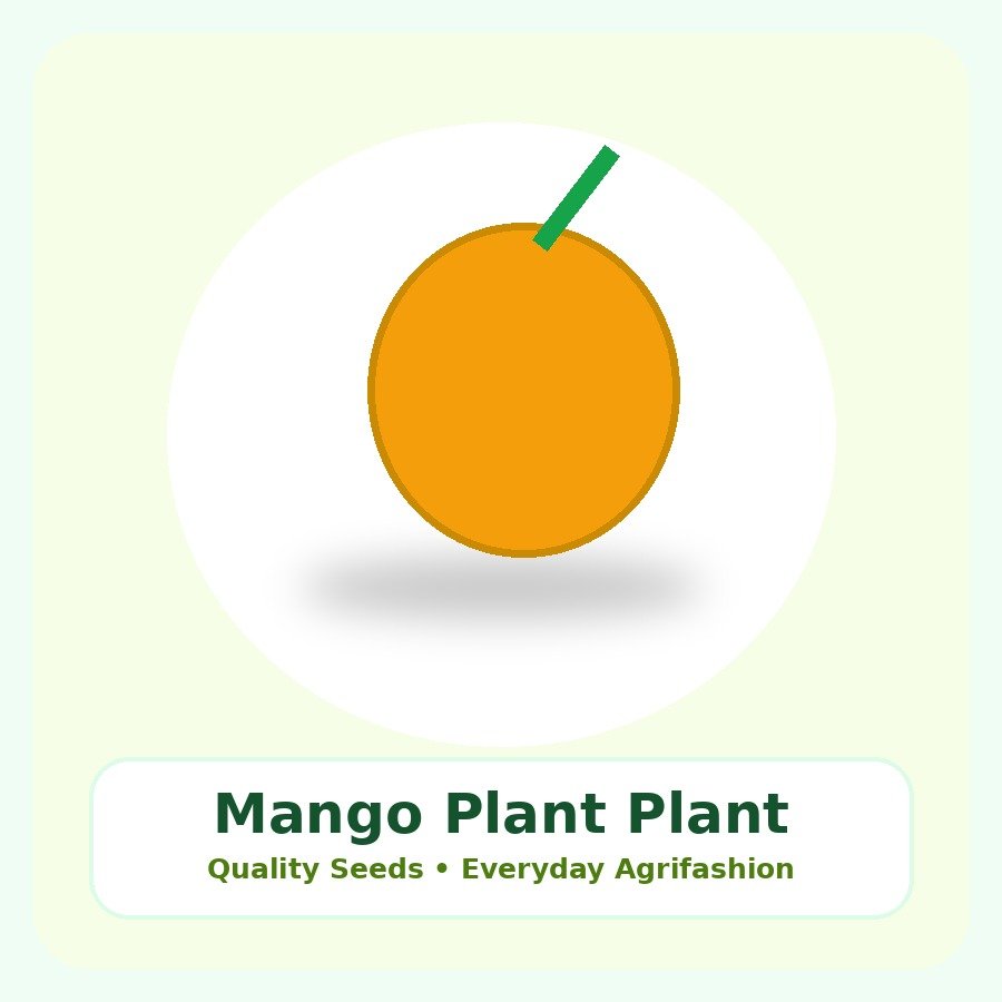 Mango Plant Premium Plant