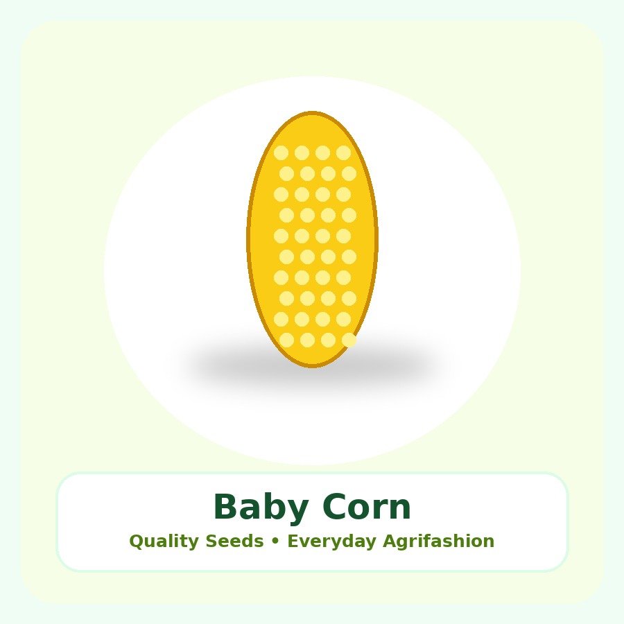 Baby Corn Seeds 250g