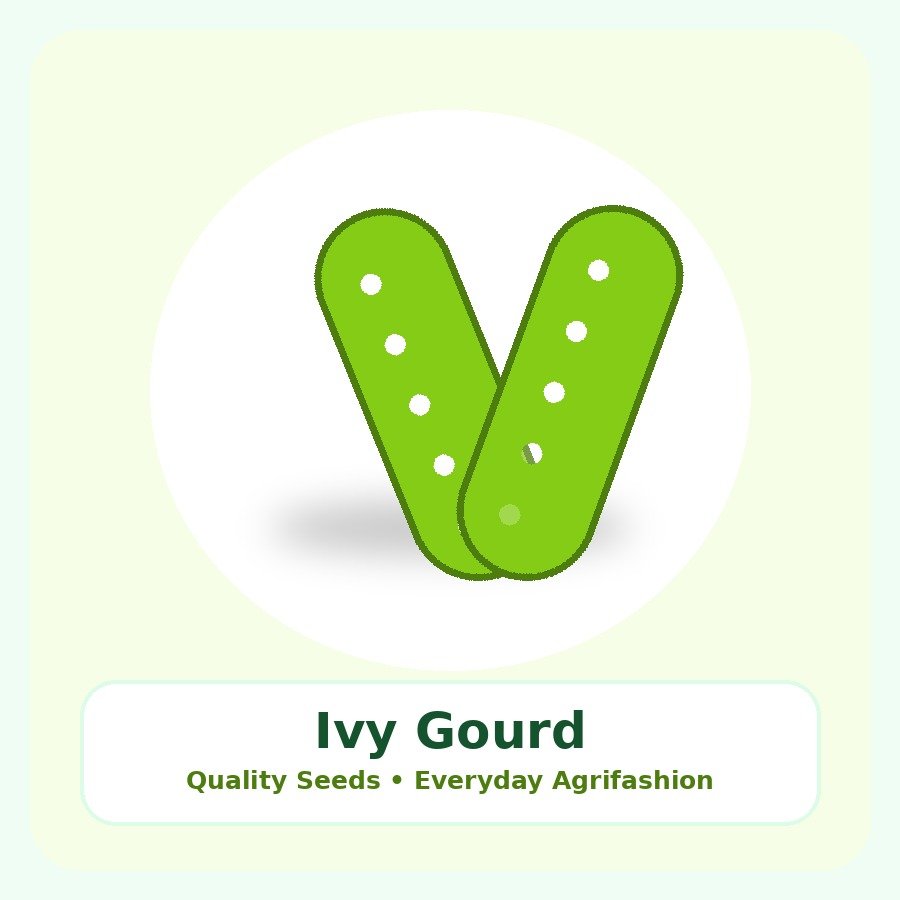 Ivy Gourd Seeds 1kg