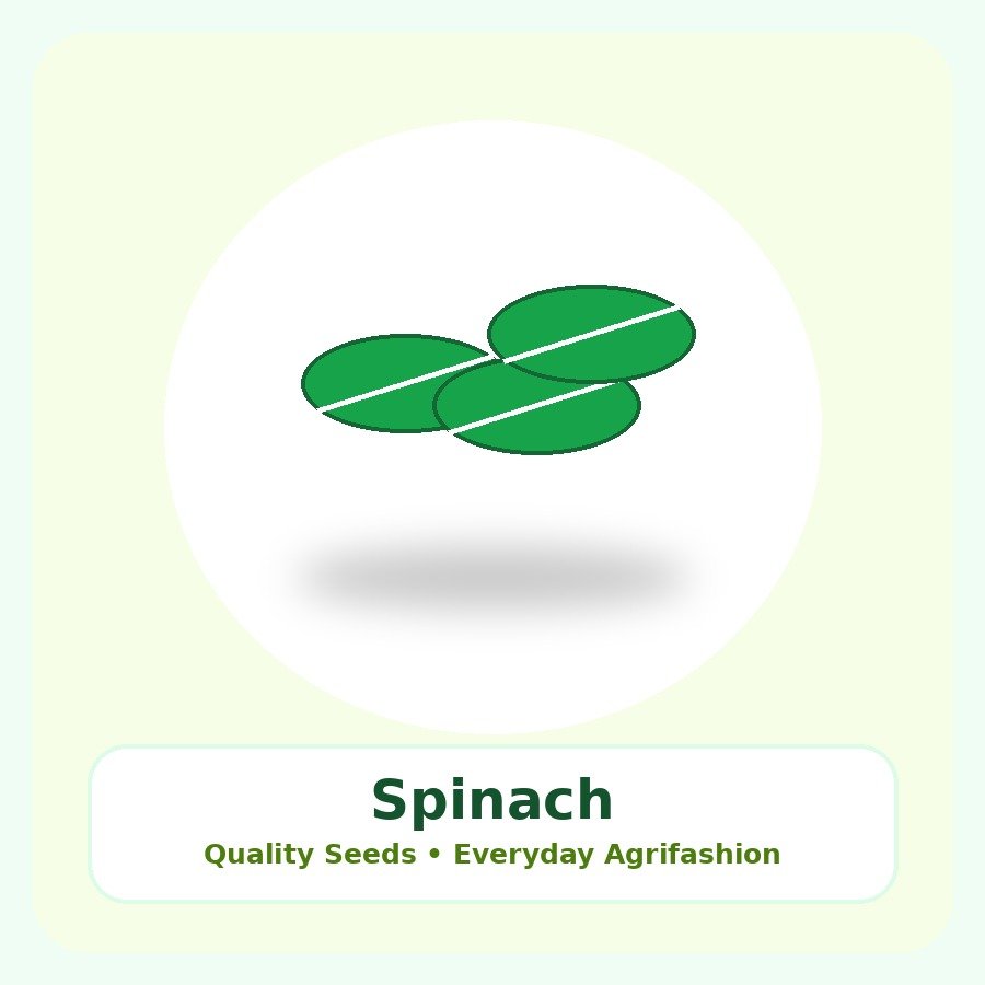 Spinach Seeds 250g